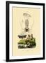 Pram Bug Amphipod, 1833-39-null-Framed Giclee Print