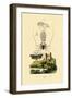 Pram Bug Amphipod, 1833-39-null-Framed Giclee Print