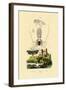 Pram Bug Amphipod, 1833-39-null-Framed Giclee Print