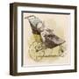 Pram with Own Dummy-Adrien Marie-Framed Art Print