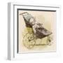 Pram with Own Dummy-Adrien Marie-Framed Art Print