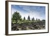 Prambanan Hindu Temples, UNESCO World Heritage Site, Near Yogyakarta, Java, Indonesia-Alex Robinson-Framed Photographic Print