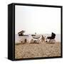 Prams on Brighton Beach-null-Framed Stretched Canvas