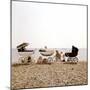 Prams on Brighton Beach-null-Mounted Photographic Print