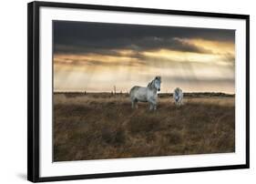 Prance-Andreas Stridsberg-Framed Giclee Print