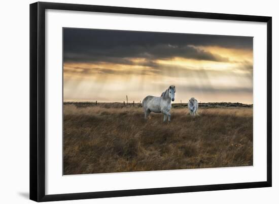 Prance-Andreas Stridsberg-Framed Giclee Print