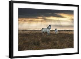 Prance-Andreas Stridsberg-Framed Giclee Print