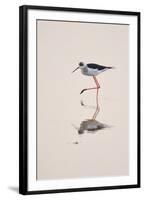 Prancing Steps-Staffan Widstrand-Framed Giclee Print