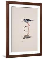 Prancing Steps-Staffan Widstrand-Framed Giclee Print