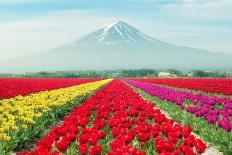 Landscape of Japan Tulips with Mt.Fuji in Japan.-Prasit Rodphan-Framed Photographic Print