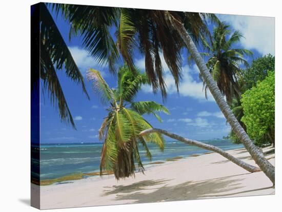 Praslin Beach, Seychelles, Indian Ocean, Africa-Hans Peter Merten-Stretched Canvas