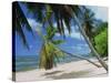 Praslin Beach, Seychelles, Indian Ocean, Africa-Hans Peter Merten-Stretched Canvas