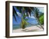 Praslin Beach, Seychelles, Indian Ocean, Africa-Hans Peter Merten-Framed Photographic Print