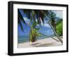 Praslin Beach, Seychelles, Indian Ocean, Africa-Hans Peter Merten-Framed Photographic Print