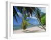 Praslin Beach, Seychelles, Indian Ocean, Africa-Hans Peter Merten-Framed Photographic Print