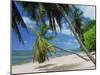 Praslin Beach, Seychelles, Indian Ocean, Africa-Hans Peter Merten-Mounted Photographic Print