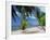 Praslin Beach, Seychelles, Indian Ocean, Africa-Hans Peter Merten-Framed Photographic Print