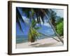 Praslin Beach, Seychelles, Indian Ocean, Africa-Hans Peter Merten-Framed Photographic Print