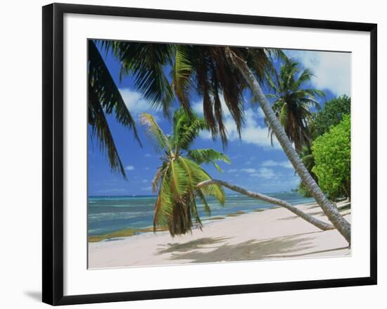 Praslin Beach, Seychelles, Indian Ocean, Africa-Hans Peter Merten-Framed Photographic Print