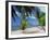 Praslin Beach, Seychelles, Indian Ocean, Africa-Hans Peter Merten-Framed Photographic Print