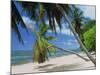 Praslin Beach, Seychelles, Indian Ocean, Africa-Hans Peter Merten-Mounted Photographic Print