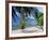 Praslin Beach, Seychelles, Indian Ocean, Africa-Hans Peter Merten-Framed Photographic Print