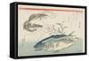 Prawns, Horse Mackerels and Smartweed, 1832-1833-Utagawa Hiroshige-Framed Stretched Canvas