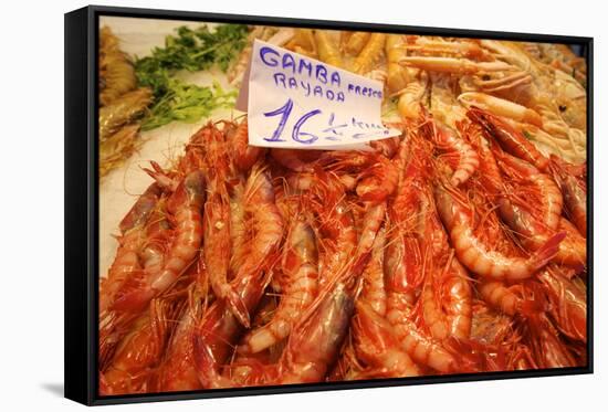 Prawns in Mercado Central (Central Market), Valencia, Spain, Europe-Neil Farrin-Framed Stretched Canvas