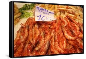 Prawns in Mercado Central (Central Market), Valencia, Spain, Europe-Neil Farrin-Framed Stretched Canvas