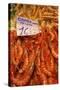 Prawns in Mercado Central (Central Market), Valencia, Spain, Europe-Neil Farrin-Stretched Canvas