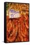 Prawns in Mercado Central (Central Market), Valencia, Spain, Europe-Neil Farrin-Framed Stretched Canvas