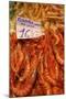 Prawns in Mercado Central (Central Market), Valencia, Spain, Europe-Neil Farrin-Mounted Photographic Print