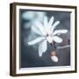 Pray for Rain-Philippe Sainte-Laudy-Framed Photographic Print