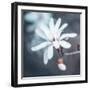 Pray for Rain-Philippe Sainte-Laudy-Framed Photographic Print