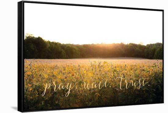 Pray, Wait, Trust-Donnie Quillen-Framed Stretched Canvas