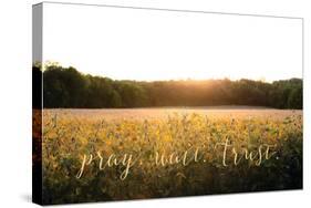 Pray, Wait, Trust-Donnie Quillen-Stretched Canvas