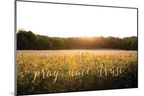 Pray, Wait, Trust-Donnie Quillen-Mounted Art Print