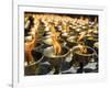 Prayer Candles, Nanwu Temple, Kangding, Sichuan, China-Porteous Rod-Framed Photographic Print