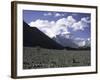 Prayer Flag Amongst Mountain Scene, Nepal-Michael Brown-Framed Photographic Print