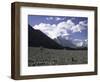 Prayer Flag Amongst Mountain Scene, Nepal-Michael Brown-Framed Photographic Print