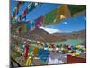 Prayer Flags Above An Artifical Lake Near the Karo-La Pass, Tibet, China, Asia-Michael Runkel-Mounted Photographic Print