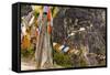 Prayer Flags Along Trail to Takshang Monastery (Tiger's Nest), Bhutan-Howie Garber-Framed Stretched Canvas