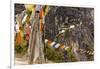 Prayer Flags Along Trail to Takshang Monastery (Tiger's Nest), Bhutan-Howie Garber-Framed Photographic Print