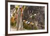 Prayer Flags Along Trail to Takshang Monastery (Tiger's Nest), Bhutan-Howie Garber-Framed Photographic Print