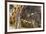 Prayer Flags Along Trail to Takshang Monastery (Tiger's Nest), Bhutan-Howie Garber-Framed Photographic Print