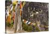 Prayer Flags Along Trail to Takshang Monastery (Tiger's Nest), Bhutan-Howie Garber-Stretched Canvas