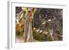 Prayer Flags Along Trail to Takshang Monastery (Tiger's Nest), Bhutan-Howie Garber-Framed Photographic Print