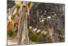 Prayer Flags Along Trail to Takshang Monastery (Tiger's Nest), Bhutan-Howie Garber-Mounted Photographic Print