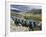 Prayer Flags and View Over Cultivated Fields, Yumbulagung Castle, Tibet, China-Ethel Davies-Framed Photographic Print