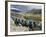 Prayer Flags and View Over Cultivated Fields, Yumbulagung Castle, Tibet, China-Ethel Davies-Framed Photographic Print